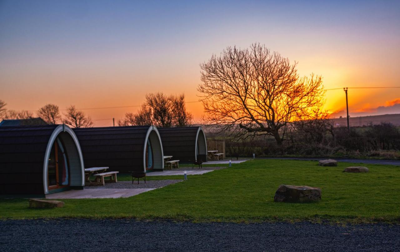 Causeway Country Pods Hotell Bushmills Exteriör bild