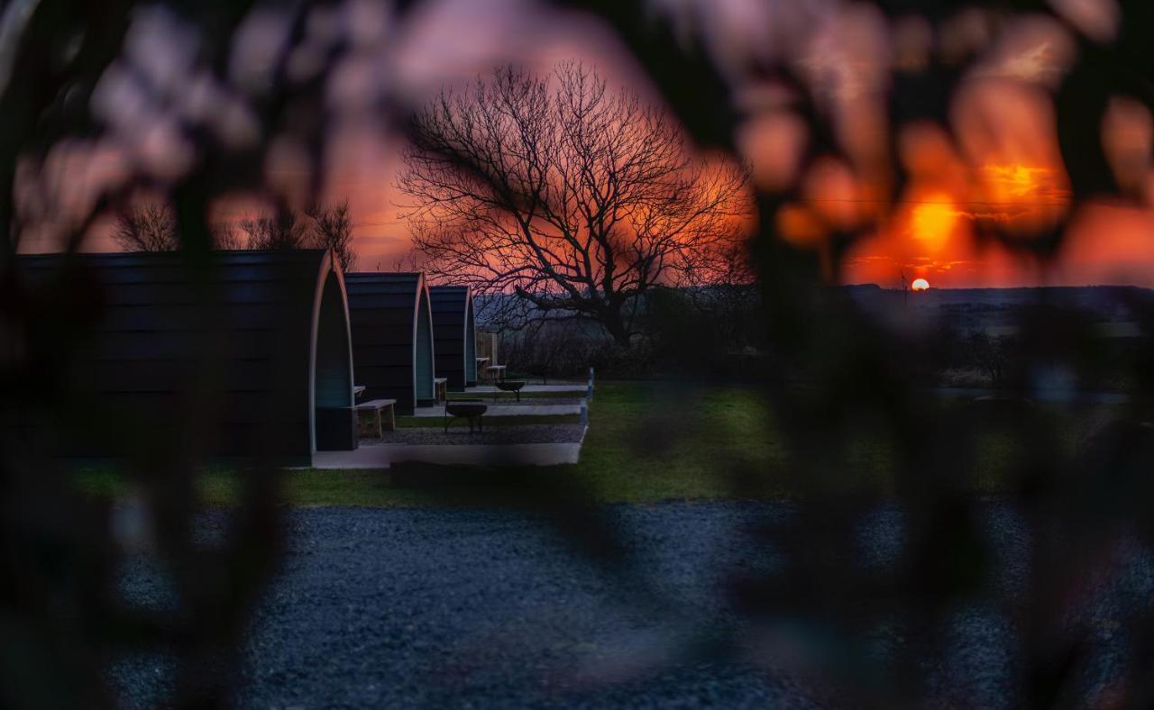 Causeway Country Pods Hotell Bushmills Exteriör bild