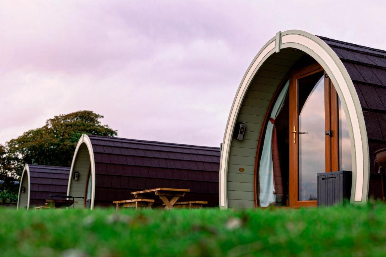 Causeway Country Pods Hotell Bushmills Exteriör bild