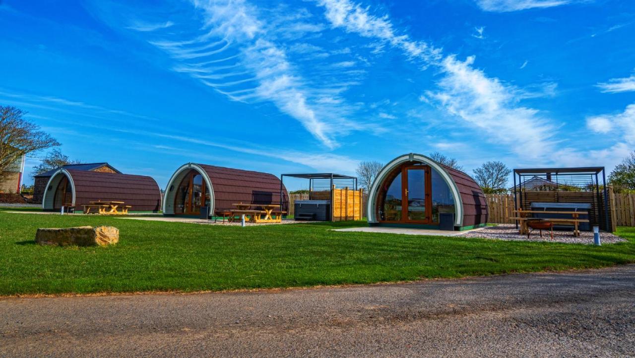 Causeway Country Pods Hotell Bushmills Exteriör bild